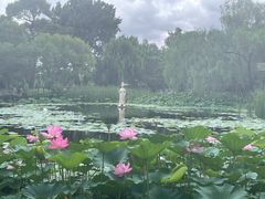 -北陵公园