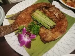 -紫滇源云南生态菜(丹凤街店)