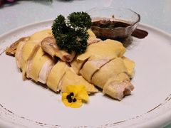 白斩鸡-天福苑(崇宁路店)