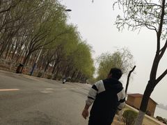 -丁香湖公园