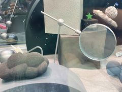 -好利来(上海虹桥新天地Lab主题店)