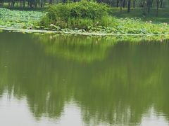 -东郊湿地公园
