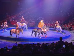 -珠海横琴长隆《卡卡虎奇遇记》