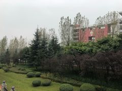 -西南政法大学(渝北校区)