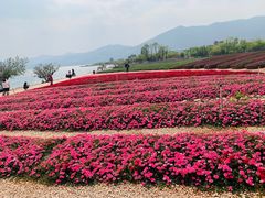 -月亮湾湿地公园