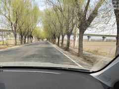 -野鸭湖国家湿地公园