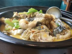 黄焖鲟龙鱼-饭怕鱼(阳光100店)