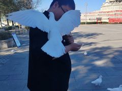 -天津妈祖文化园