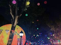 -温州乐园