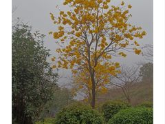 -英西峰林·洞天仙境