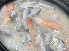 -盛燕泥丁粥