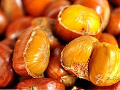 -德州小高糖炒栗子(十三局店)