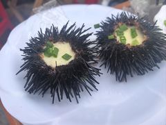 -食海部落