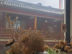 -唐咖精品咖啡(大理古城手冲店)