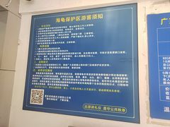 -广东惠东海龟国家级自然保护区