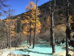 -黄龙山原始森林景区