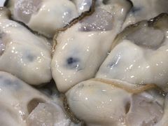 -濠轩阁特色生蚝火锅(水湾路店)