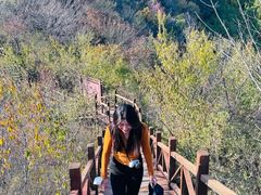 -大岭沟猕猴桃谷风景区