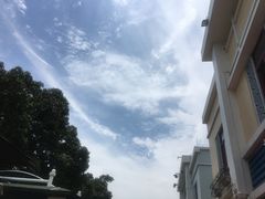 景点-大湾区中央湿地公园-十九涌