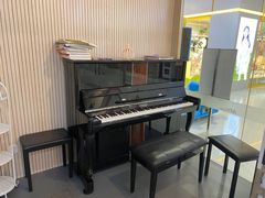 -美育少儿中国舞·钢琴·声乐艺术中心(枫蓝购物中心店)