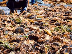 -蟠龙山长城景区