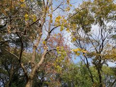 -上海市保健医疗中心