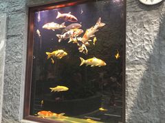 -弘安丽水温泉酒店