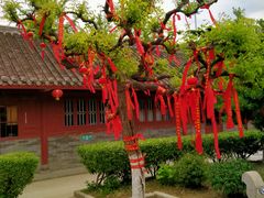 -乐天拉面(桃花街店)