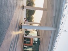 -福田红树林生态公园