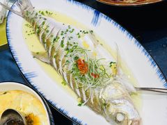 清蒸白鱼-香雪海饭店中餐厅(人民桥店)