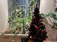 -漪龙台·B26 Rooftop Lounge