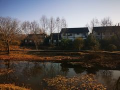 -西溪国家湿地公园