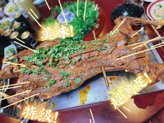 -杨正宗烤全羊(北二环店)