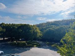 -上海佘山世茂艾美酒店