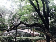 -香港大学