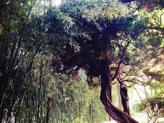 iphone_upload_pic-包公祠