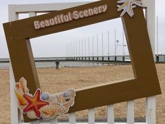 -碧海金沙