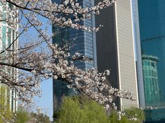 -西北湖绿化广场