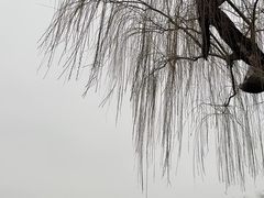 -济南大明湖景区