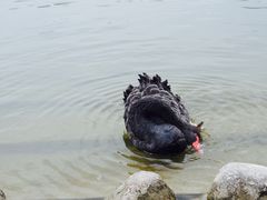 -同济大学(嘉定校区)