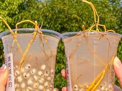 -炖物24章·顺时轻养茶(杭州大厦店)