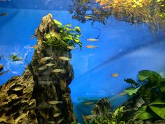 -太平洋海底世界