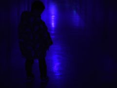 -白鹤梁水下博物馆