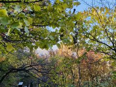 -北京十三陵国家森林公园蟒山景区