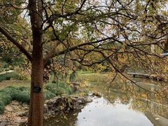 场地-上海植物园·停车场