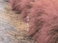 -嘉北郊野公园
