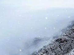 -金子山原生态旅游风景区