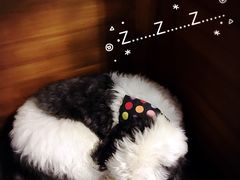 -莓园冰淇淋店