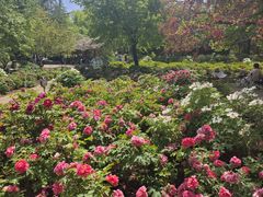 -洛阳市隋唐城遗址植物园