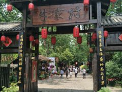 -合肥滨湖国家森林公园